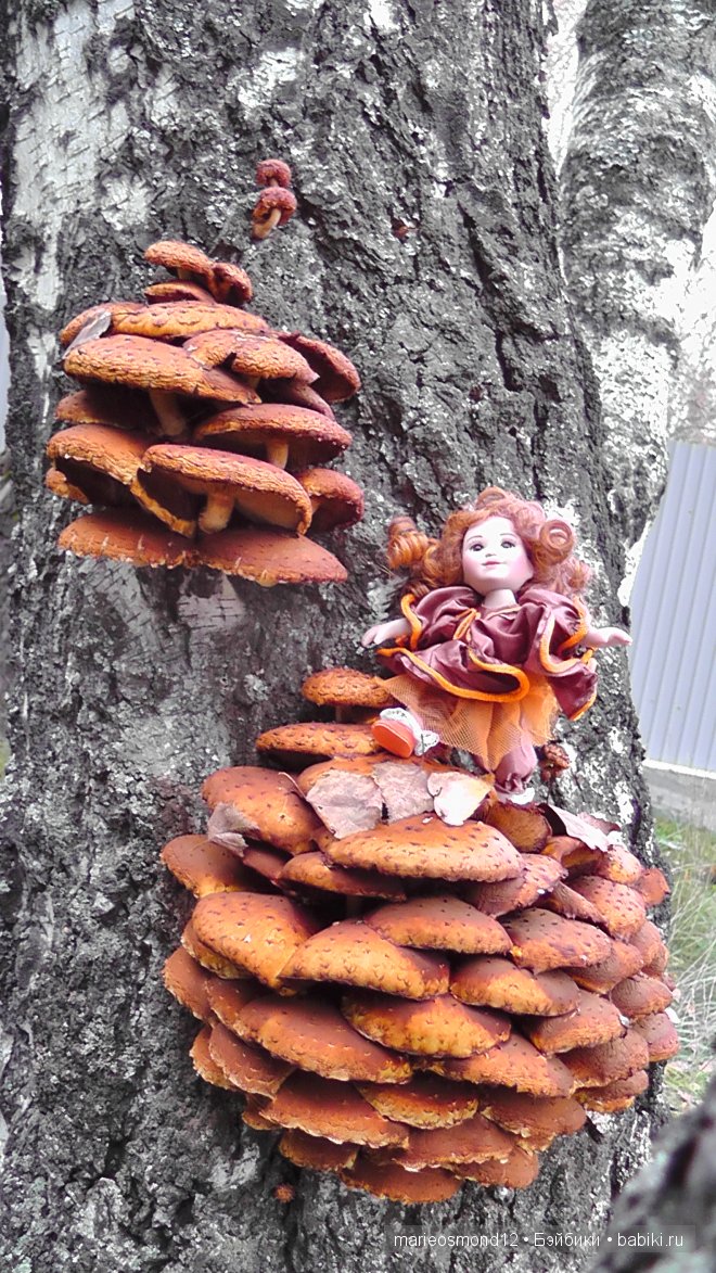 Знакомство с моей коллекцией 4 Малышки от Мари Осмонд