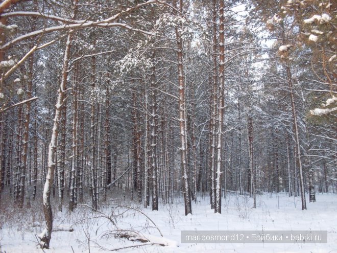 "Олеся, Олеся, Олеся,....как чудо. как сказка, как песня....."