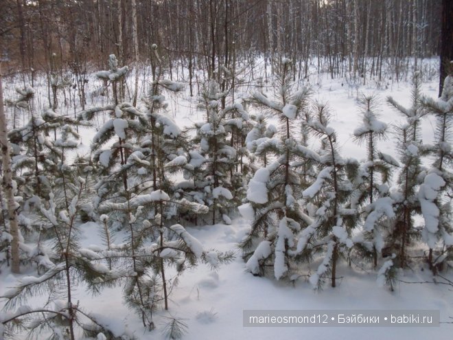 "Олеся, Олеся, Олеся,....как чудо. как сказка, как песня....."