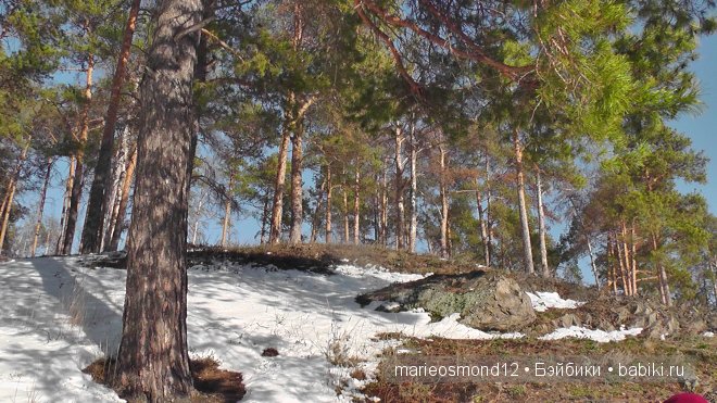 А у нас опять зима наступила! Коллекция кукол Готц