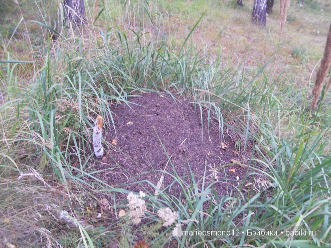 Отдых на озере Аргази вместе с моими лапулями Gotz