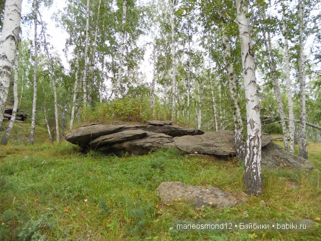 Отдых на озере Аргази вместе с моими лапулями Gotz