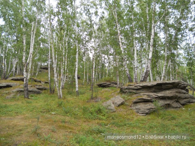 Отдых на озере Аргази вместе с моими лапулями Gotz