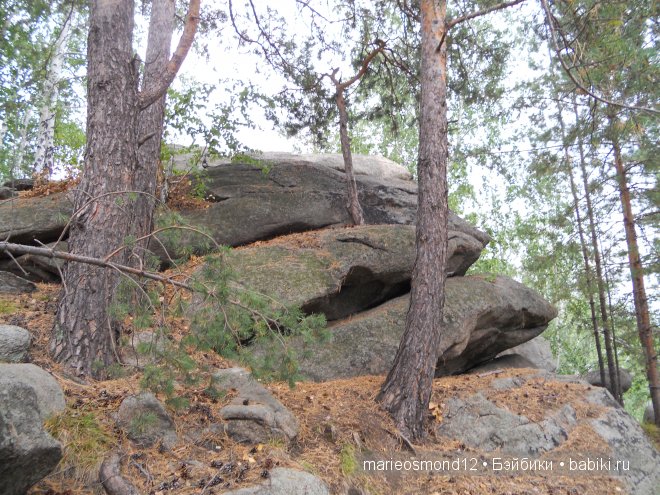 Отдых на озере Аргази вместе с моими лапулями Gotz