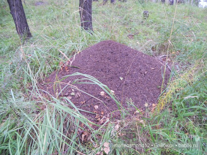 Отдых на озере Аргази вместе с моими лапулями Gotz