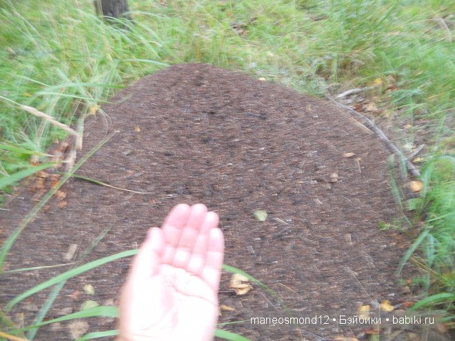 Отдых на озере Аргази вместе с моими лапулями Gotz