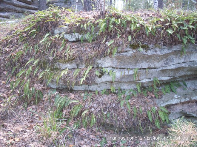 Отдых на озере Аргази вместе с моими лапулями Gotz