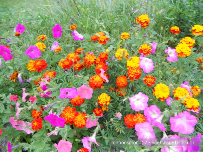 Знакомство с моей коллекцией 5.Мои куклены от Роберта Тоннера.Часть вторая: сестренки Пэтси