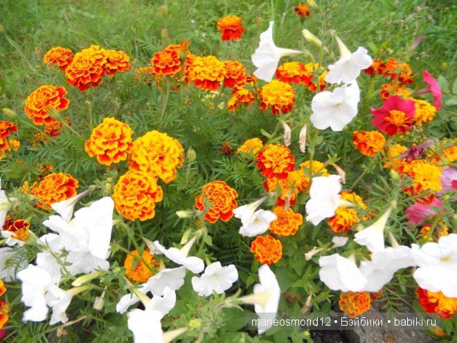 Знакомство с моей коллекцией 5.Мои куклены от Роберта Тоннера.Часть вторая: сестренки Пэтси