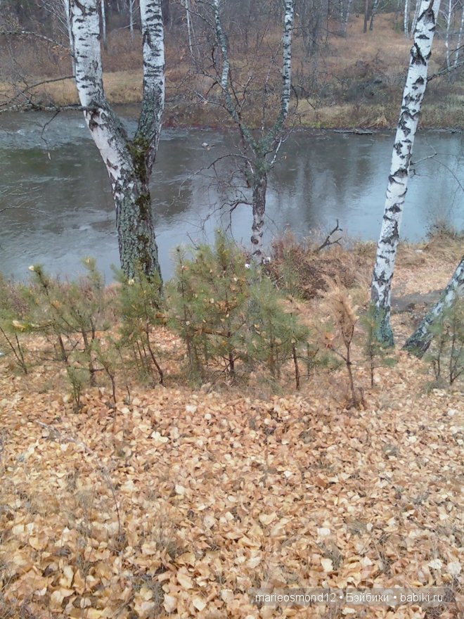 Капелька радуги среди хмурого осеннего дождя - Виолочка от Готц