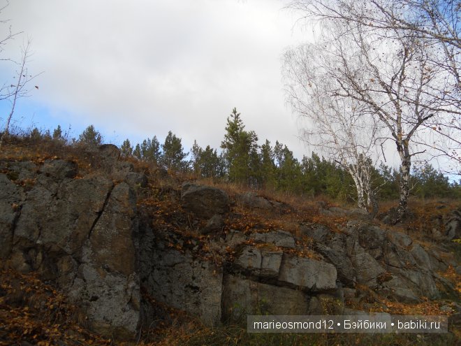 Капелька радуги среди хмурого осеннего дождя - Виолочка от Готц (фото 7)