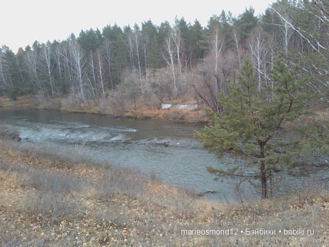Капелька радуги среди хмурого осеннего дождя - Виолочка от Готц