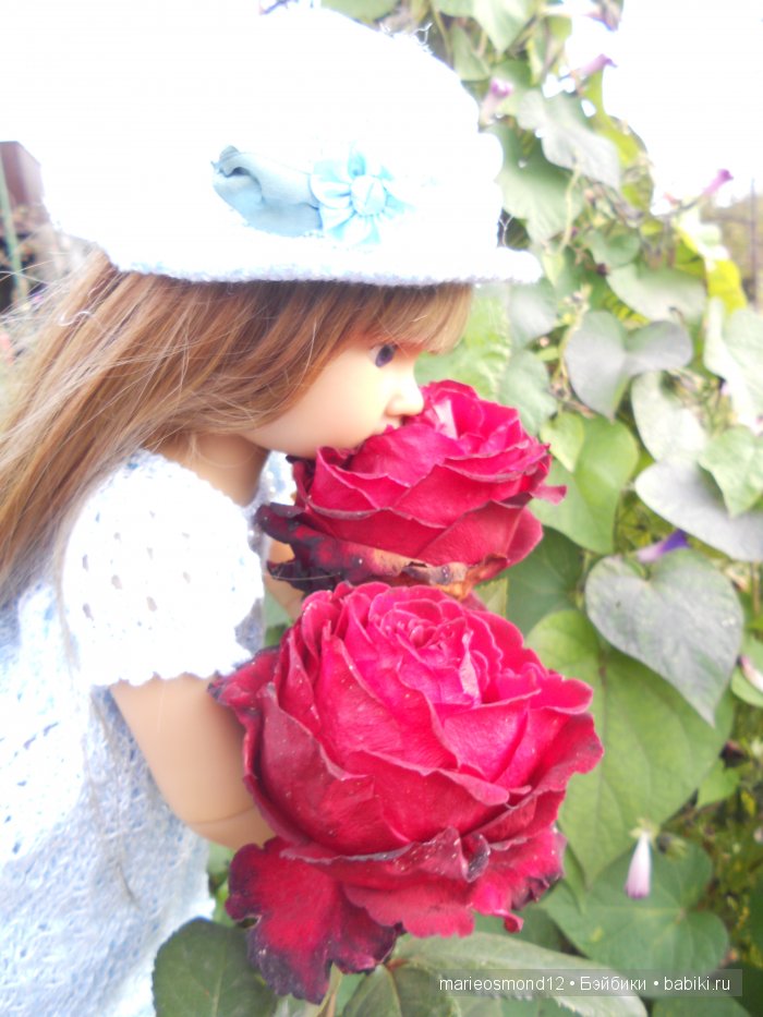 Последний осенний этюд в увядающем саду ( Kidz'n'Cats)