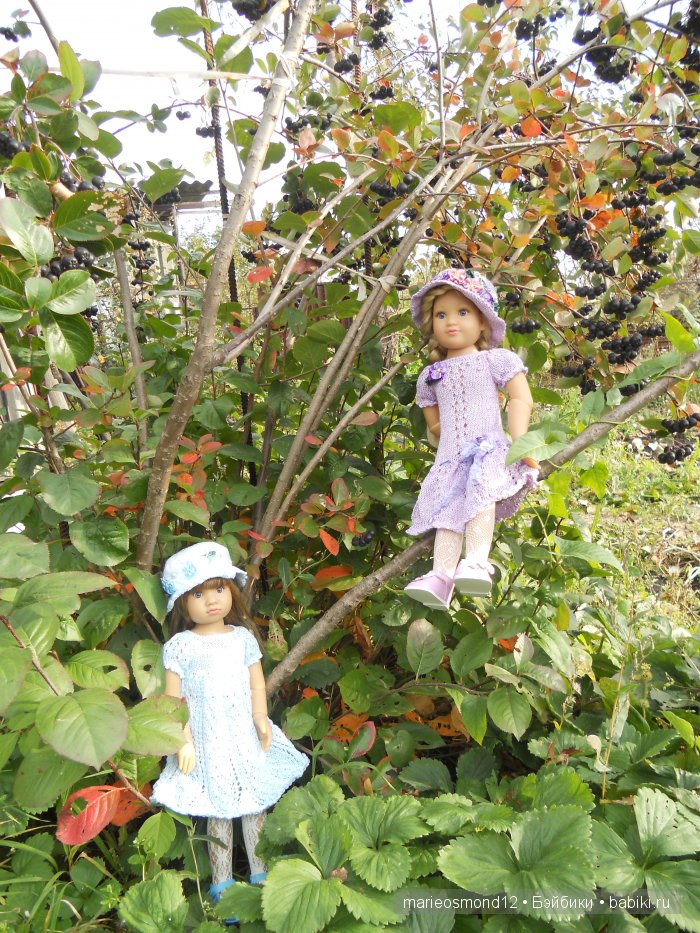 Последний осенний этюд в увядающем саду ( Kidz'n'Cats)