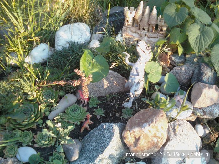 Последний осенний этюд в увядающем саду ( Kidz'n'Cats) (фото 4)