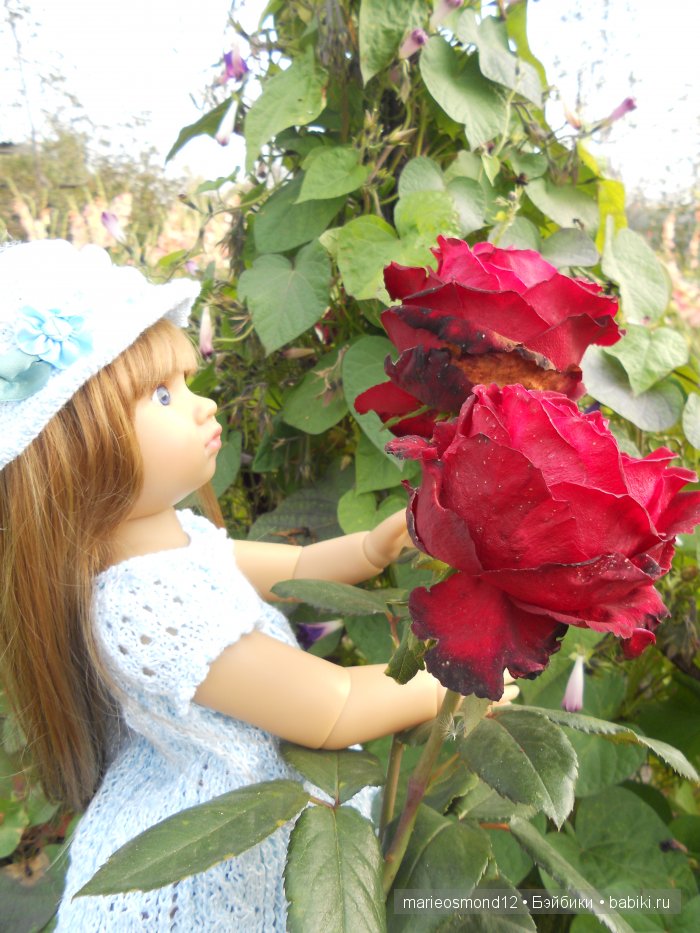 Последний осенний этюд в увядающем саду ( Kidz'n'Cats)