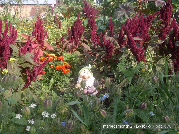 Последний осенний этюд в увядающем саду ( Kidz'n'Cats)