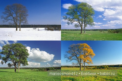 Кукольный фотомарафон — Интересное и необычное: фотоподборки (фото 8)