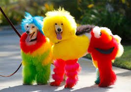 "Радуга-дуга" — Интересное и необычное: фотоподборки