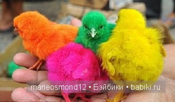 "Радуга-дуга" — Интересное и необычное: фотоподборки