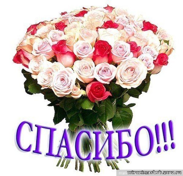 Кукольный фотомарафон. Финиш