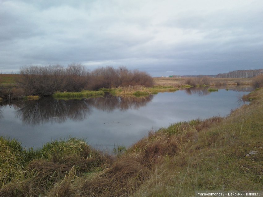 Флэшмоб "И поздней осени краса..."