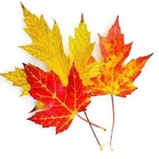 Кукольный фотомарафон "Что такое осень?"- это... куклы