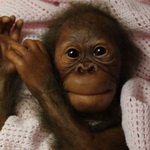 Гоша! Наш милый Гоша! Кукла реборн Анастасии Гангало