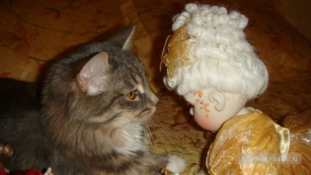 Мари Осмонд