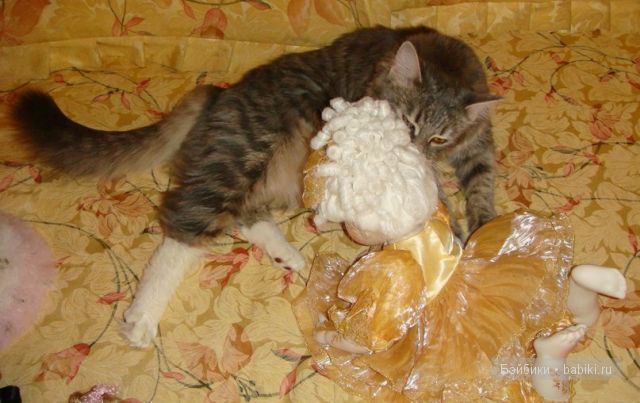 Мари Осмонд