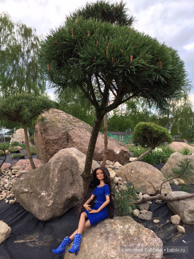 Весенняя прогулка Джонкуил от Роберта Тоннера (фото 7)