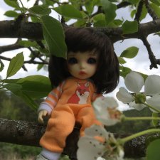 Аришка на даче