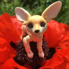 Лисёнок фенек