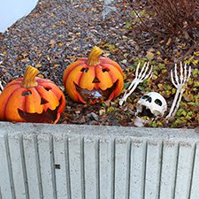 В Финляндию в хэллоуиновскую пору