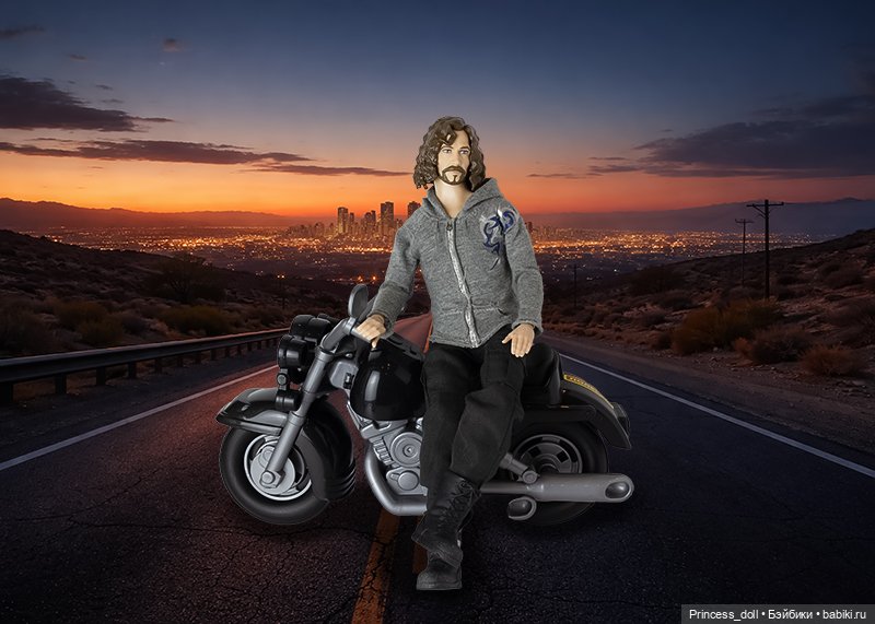 Средство передвижения по земле и небу (фото 2)