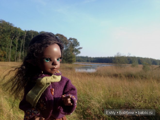 Nutmeg в лагере. Кукла Kaye Wiggs (фото 10)