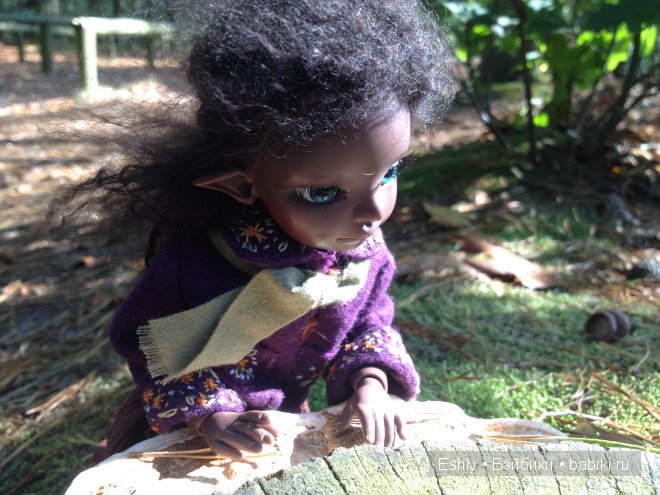 Nutmeg в лагере. Кукла Kaye Wiggs (фото 2)