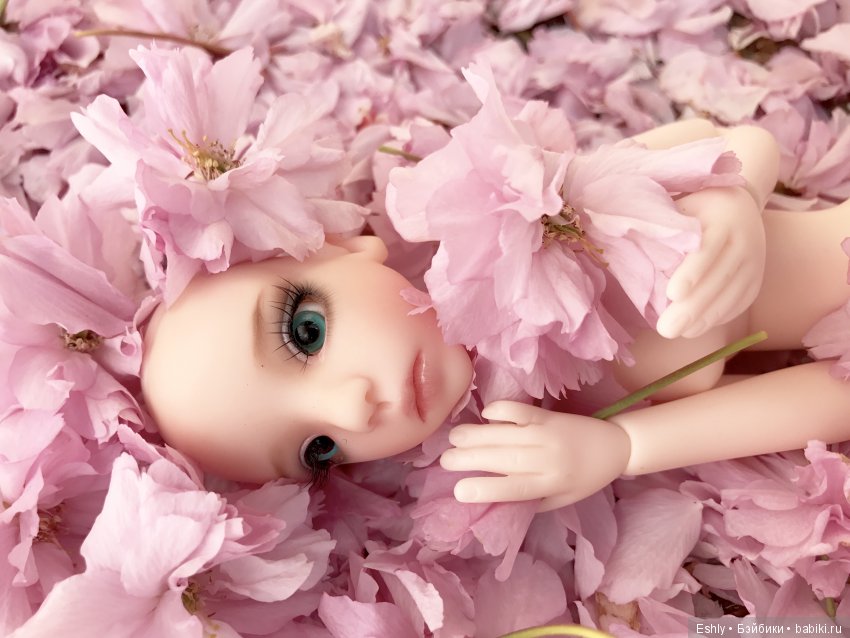 Ветер вишневых лепестков — Куклы Kaye Wiggs (Кайе Виггс): авторские BJD (БЖД) (фото 5)