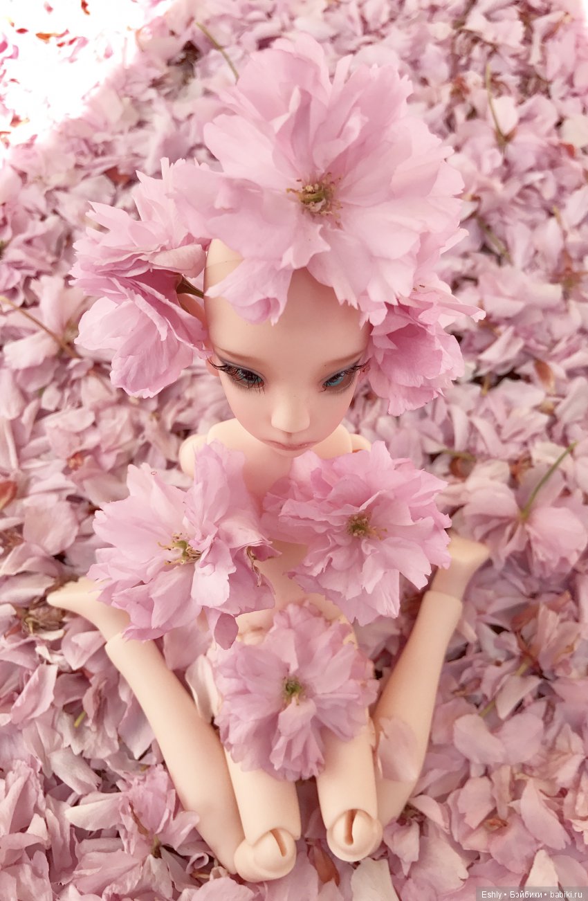 Ветер вишневых лепестков — Куклы Kaye Wiggs (Кайе Виггс): авторские BJD (БЖД) (фото 6)