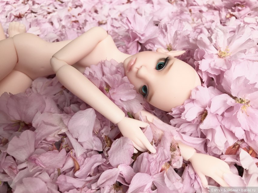 Ветер вишневых лепестков — Куклы Kaye Wiggs (Кайе Виггс): авторские BJD (БЖД) (фото 4)