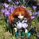 Хорошо иметь домик в дереве :)