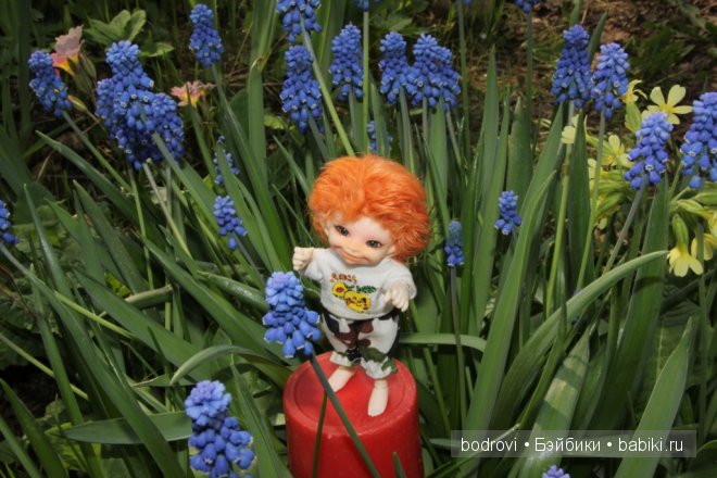 Реальное лето | Бэйбики Реальное лето — Куклы Fairyland (ФэйриЛэнд): BJD (БЖД) (фото 6)