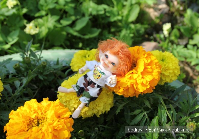 Реальное лето | Бэйбики Реальное лето — Куклы Fairyland (ФэйриЛэнд): BJD (БЖД) (фото 4)