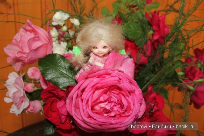 БЖД,LittleFee Ante Elf,DongDong DollZone,Pupu,Soso