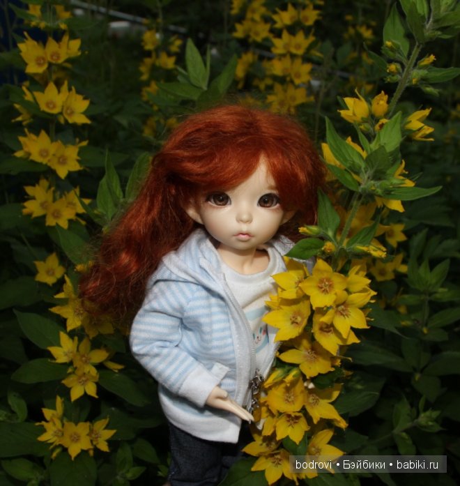 БЖД,LittleFee Ante Elf,DongDong DollZone,Pupu,Soso