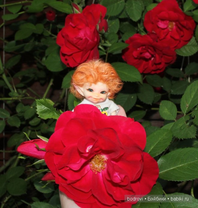 Про цветы — Куклы Fairyland (ФэйриЛэнд): BJD (БЖД) (фото 4)