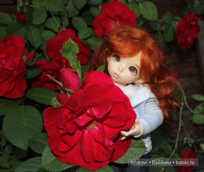 Про цветы — Куклы Fairyland (ФэйриЛэнд): BJD (БЖД) (фото 2)