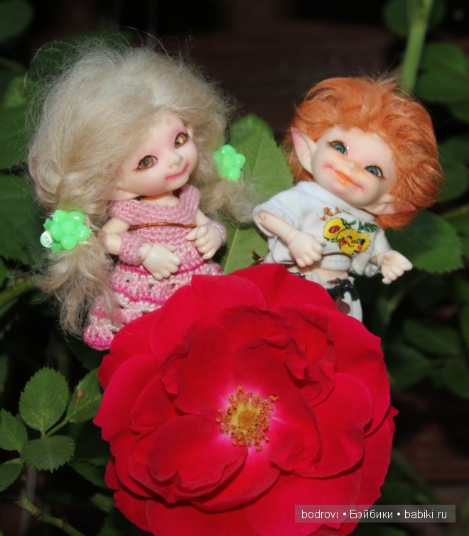 БЖД,LittleFee Ante Elf,DongDong DollZone,Pupu,Soso