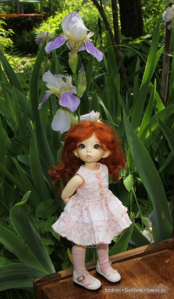 БЖД,LittleFee Ante Elf,DongDong DollZone,Pupu,Soso