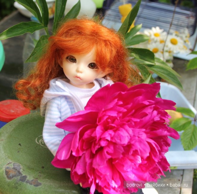 Про цветы — Куклы Fairyland (ФэйриЛэнд): BJD (БЖД)